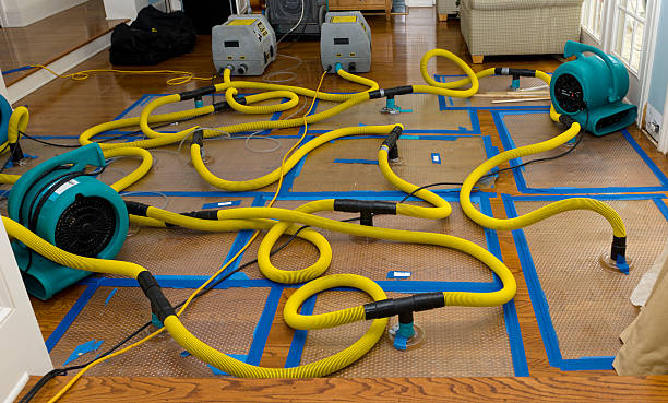 Professional Basement Flood Cleanup technician working in Jeffrey, WV