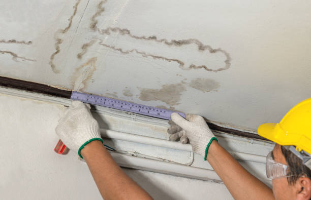 Affordable Water Damage Repair solutions in Jeffrey, WV